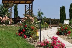 16-agriturismo-laspiga-volterra-20