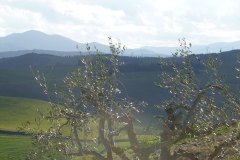 12-agriturismo-laspiga-volterra-esterno-6